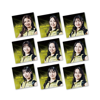 89ERSチアーズ ミニタオル 2025-26